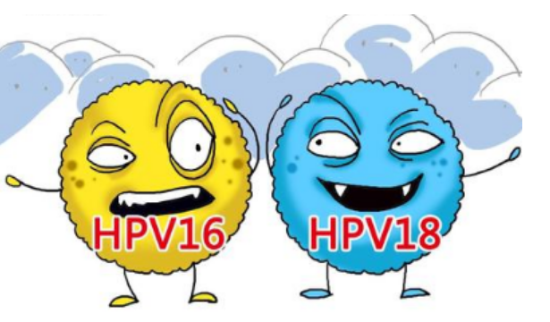 HPV16阳性
