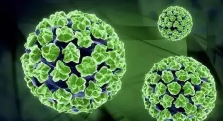 HPV16阳性的检测方法有哪些